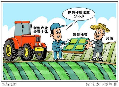 农业365课堂免费视频,种地这事儿,真能跟着视频学?我试了一个月,说点大实话 农业365课堂免费视频,种地这事儿,真能跟着视频学?我试了一个月,说点大实话