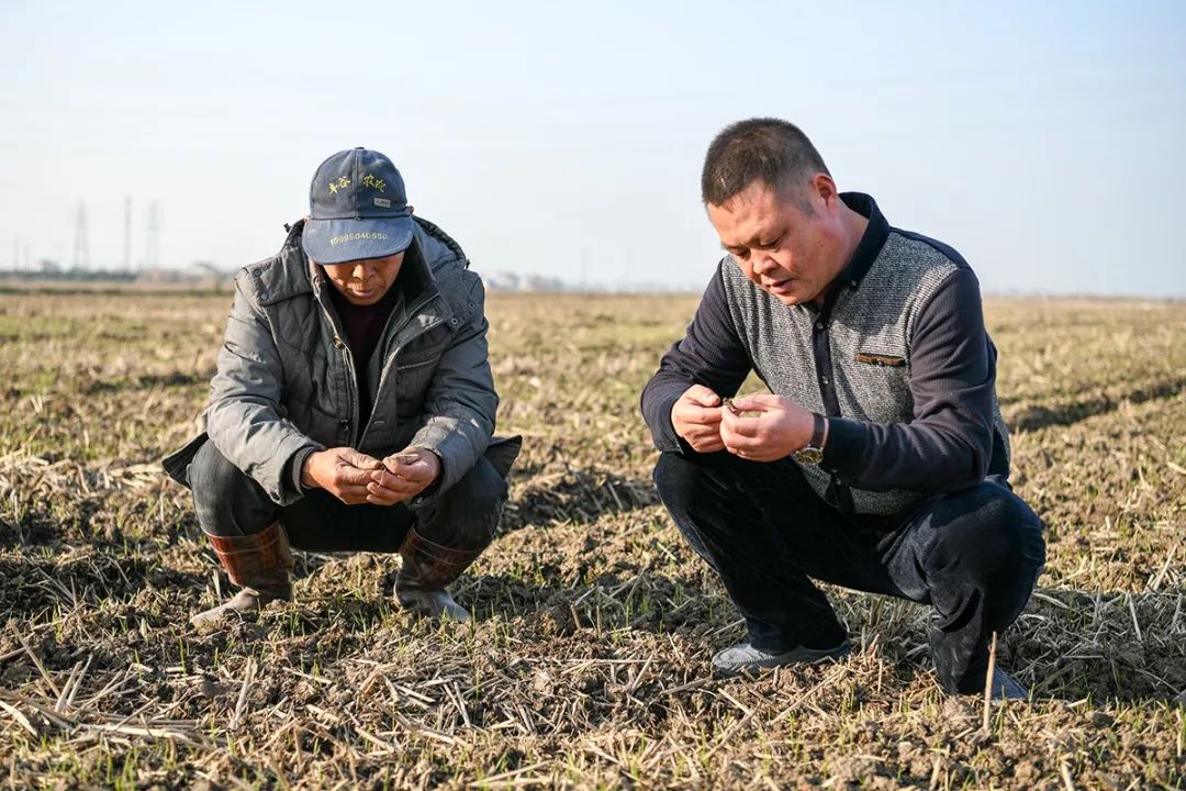 我的农村365种地视频，从手忙脚乱到与土地和解的全记录